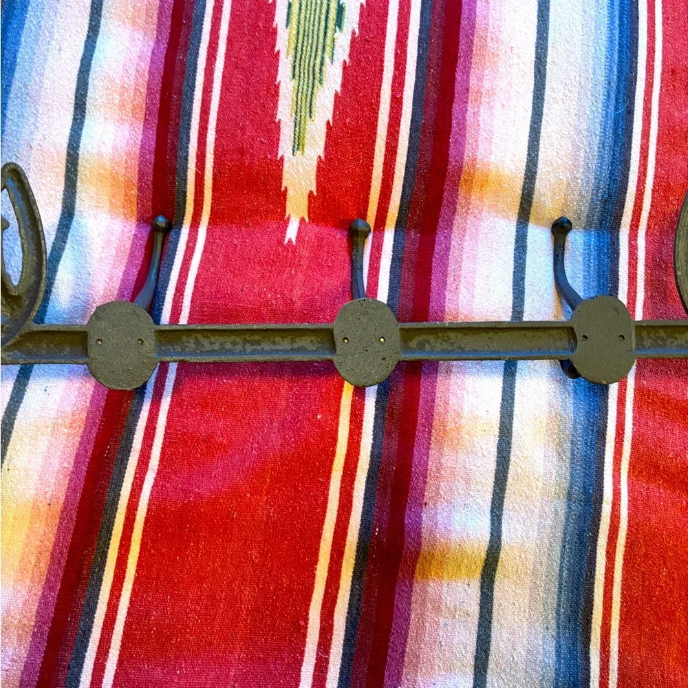 Rustic cast iron Horseshoe Wall Hook